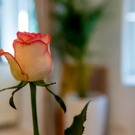 Charming Old Town Pjaca Апартаменты